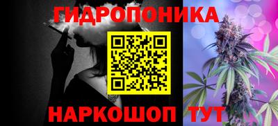 шишки Тулун